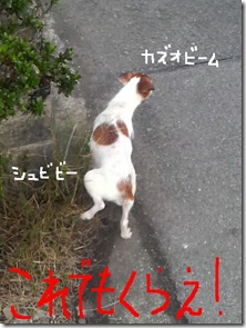 今日カズ081029　2