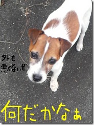 今日カズ081029　3