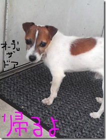 今日カズ081029　4