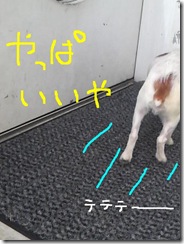 今日カズ081029　5