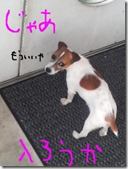 今日カズ081029　9