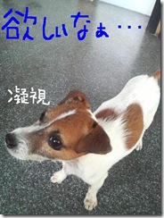 今日カズ081029　11