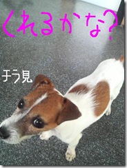 今日カズ081029　13