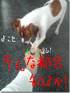 今日カズ081029　14