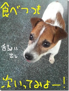 今日カズ081029　15