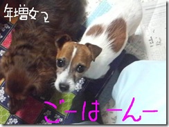 今日カズ081030　1
