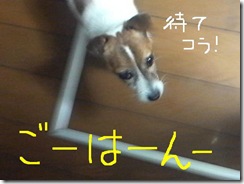 今日カズ081030　2