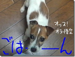 今日カズ081030　3