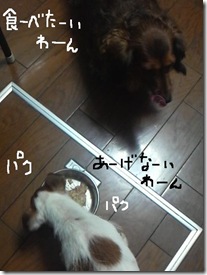 今日カズ081030　4