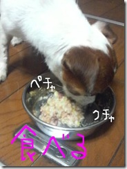 今日カズ081030　5