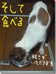 今日カズ081030　6