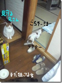 今日カズ081030　7