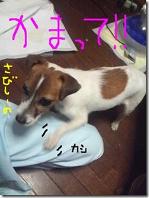 今日カズ081030　8