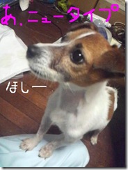 今日カズ081030　9