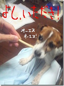 今日カズ081030　10