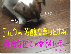 今日カズ081030　11