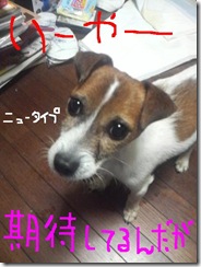 今日カズ081030　13