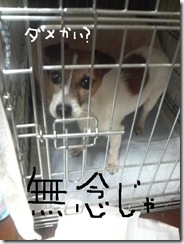 今日カズ081030　14