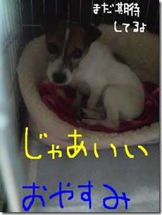 今日カズ081030　15