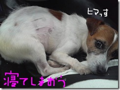 今日カズ081101　3