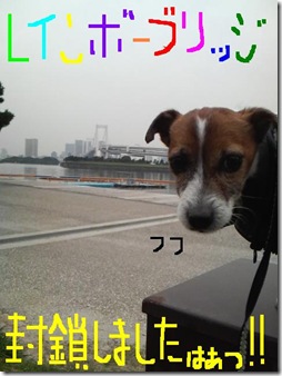 今日カズ081101　4