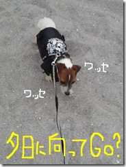 今日カズ081101　6