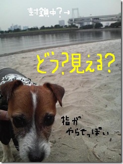 今日カズ081101　9