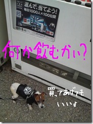 今日カズ081101　10