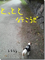 今日カズ081101　12