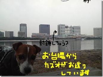 今日カズ081101　13