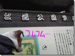 今日カズ081101　14