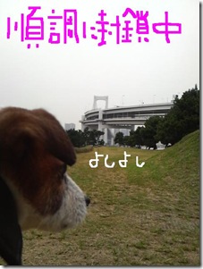 今日カズ081101　16