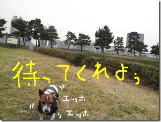 今日カズ081101　17