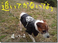今日カズ081101　18