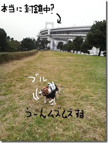 今日カズ081101　20