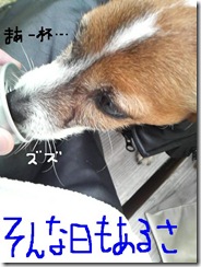 今日カズ081101　22