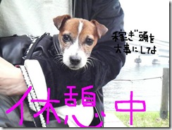 今日カズ081101　23