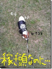 今日カズ081101　24