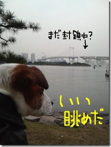 今日カズ081101　25