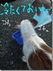 今日カズ081101　27