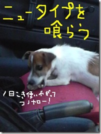 今日カズ081101　28