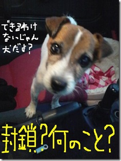 今日カズ081101　30