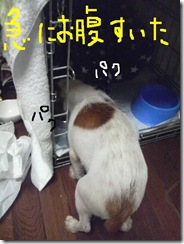 今日カズ081102　1