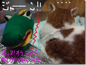 今日カズ081102　2