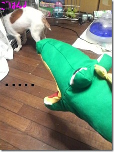 今日カズ081102　4