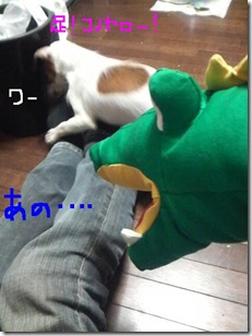 今日カズ081102　6