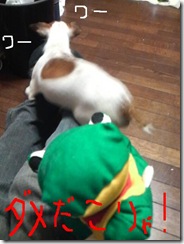 今日カズ081102　7