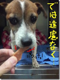 今日カズ081104　3