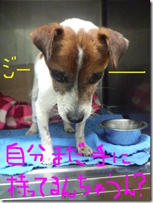 今日カズ081104　5