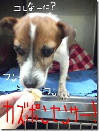 今日カズ081104　6